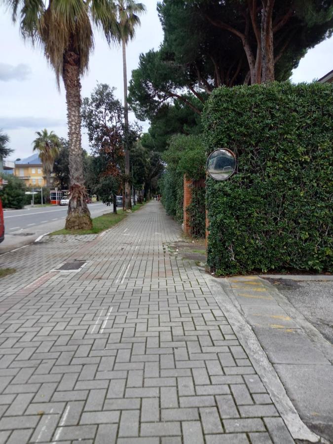 Bilocale Climatizzato A 850M Dalla Spiaggia Casa Katia Marina di Massa Exterior foto