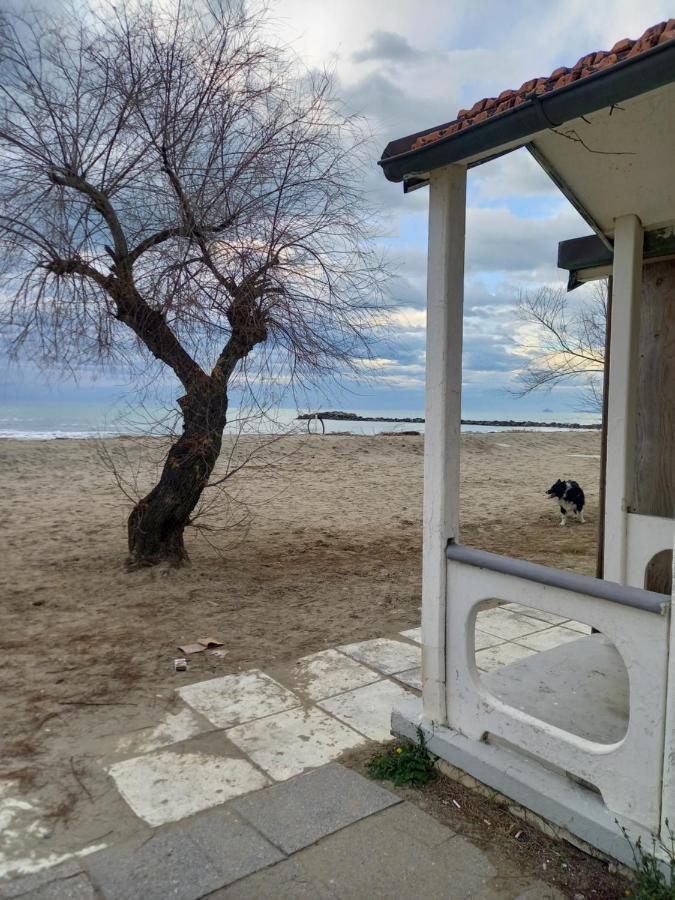Bilocale Climatizzato A 850M Dalla Spiaggia Casa Katia Marina di Massa Exterior foto